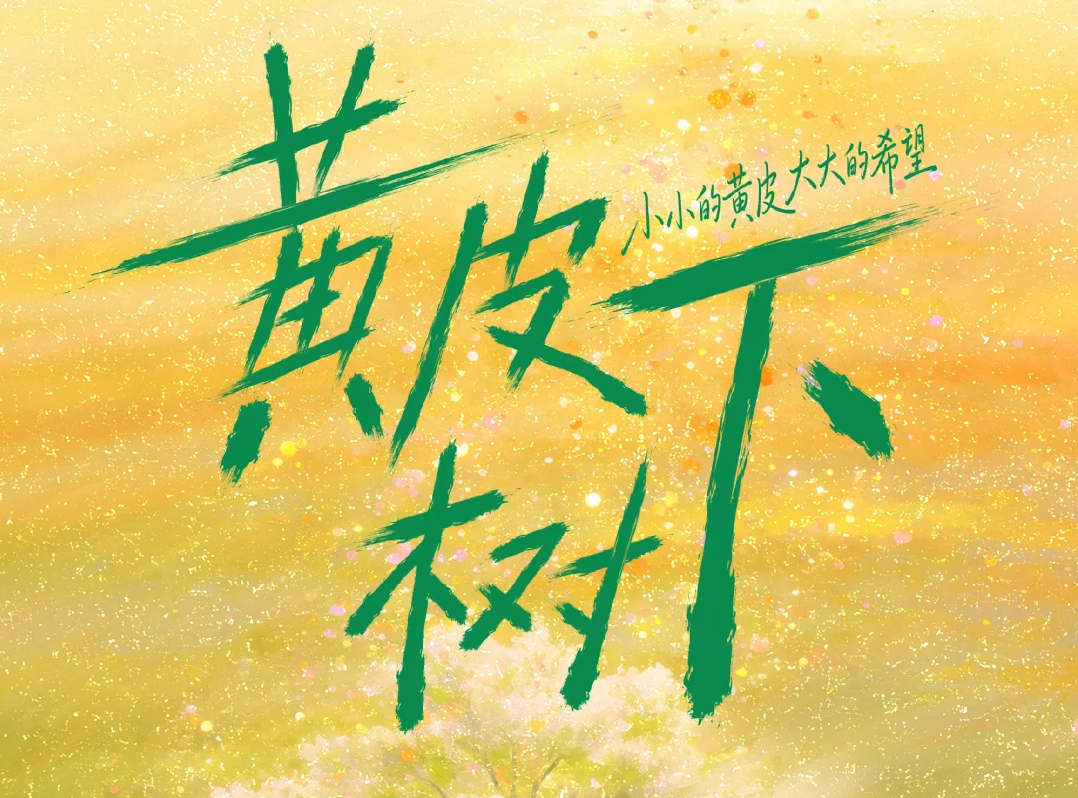 央视报道