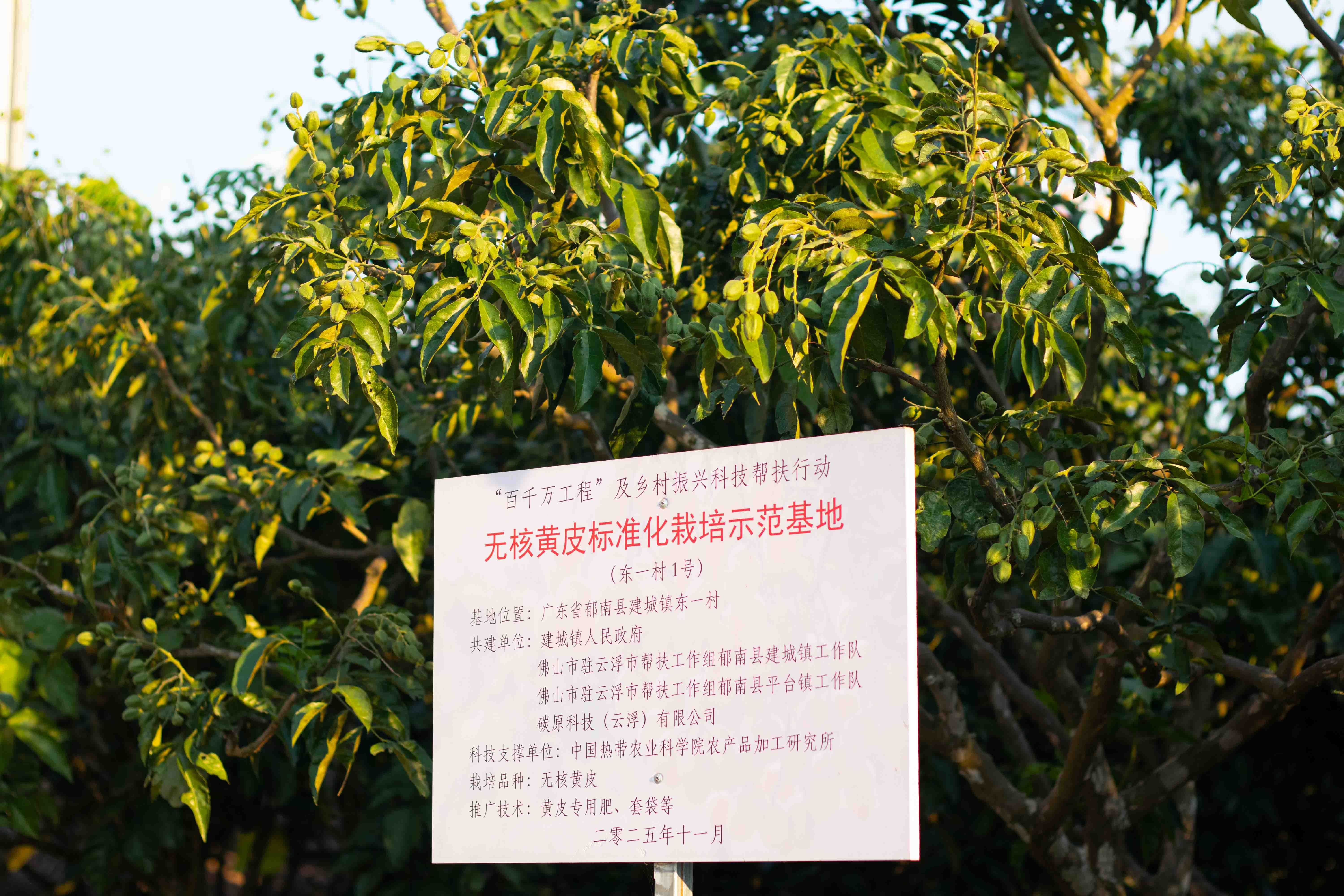 全程溯源体系