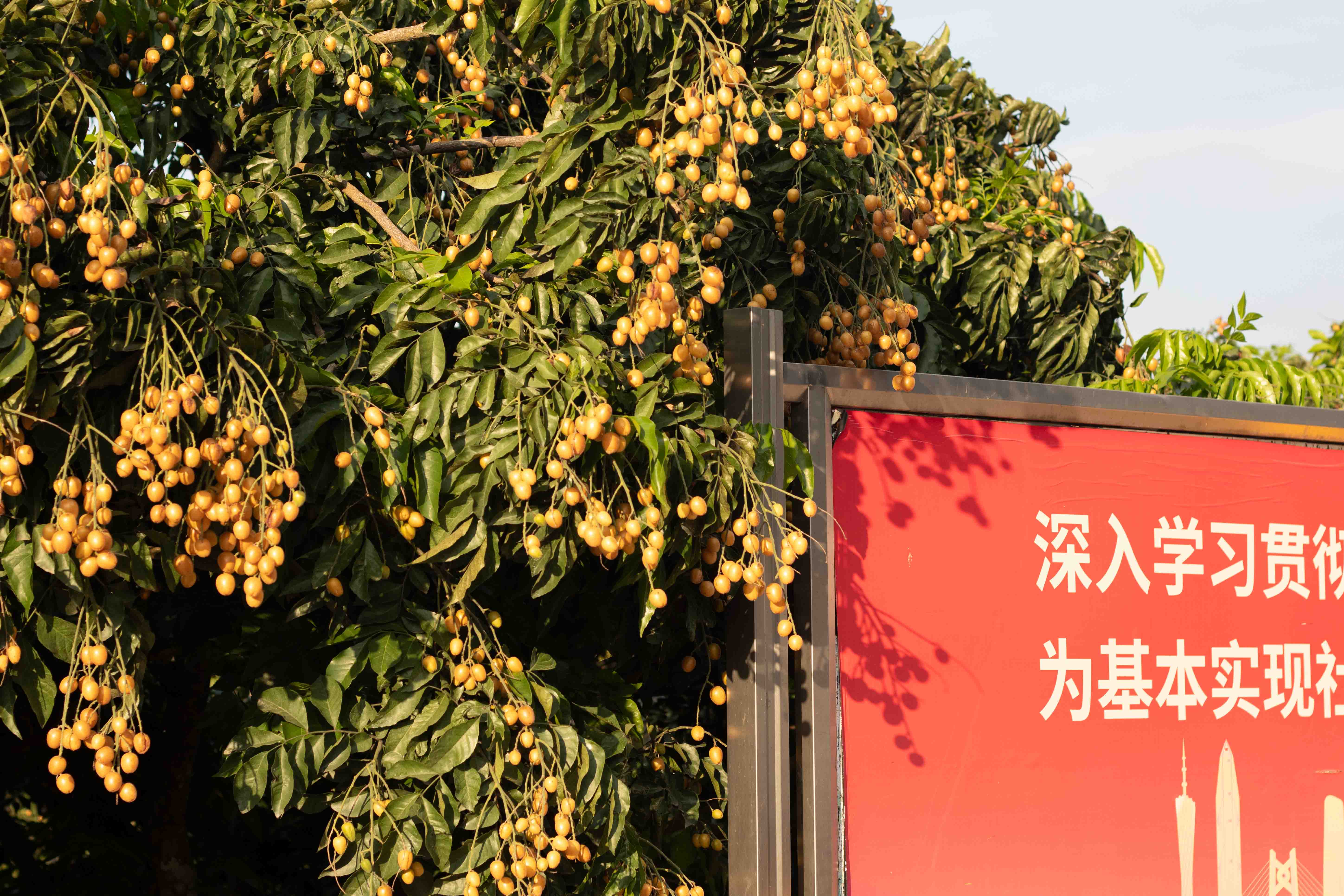 农户增收与县域活力