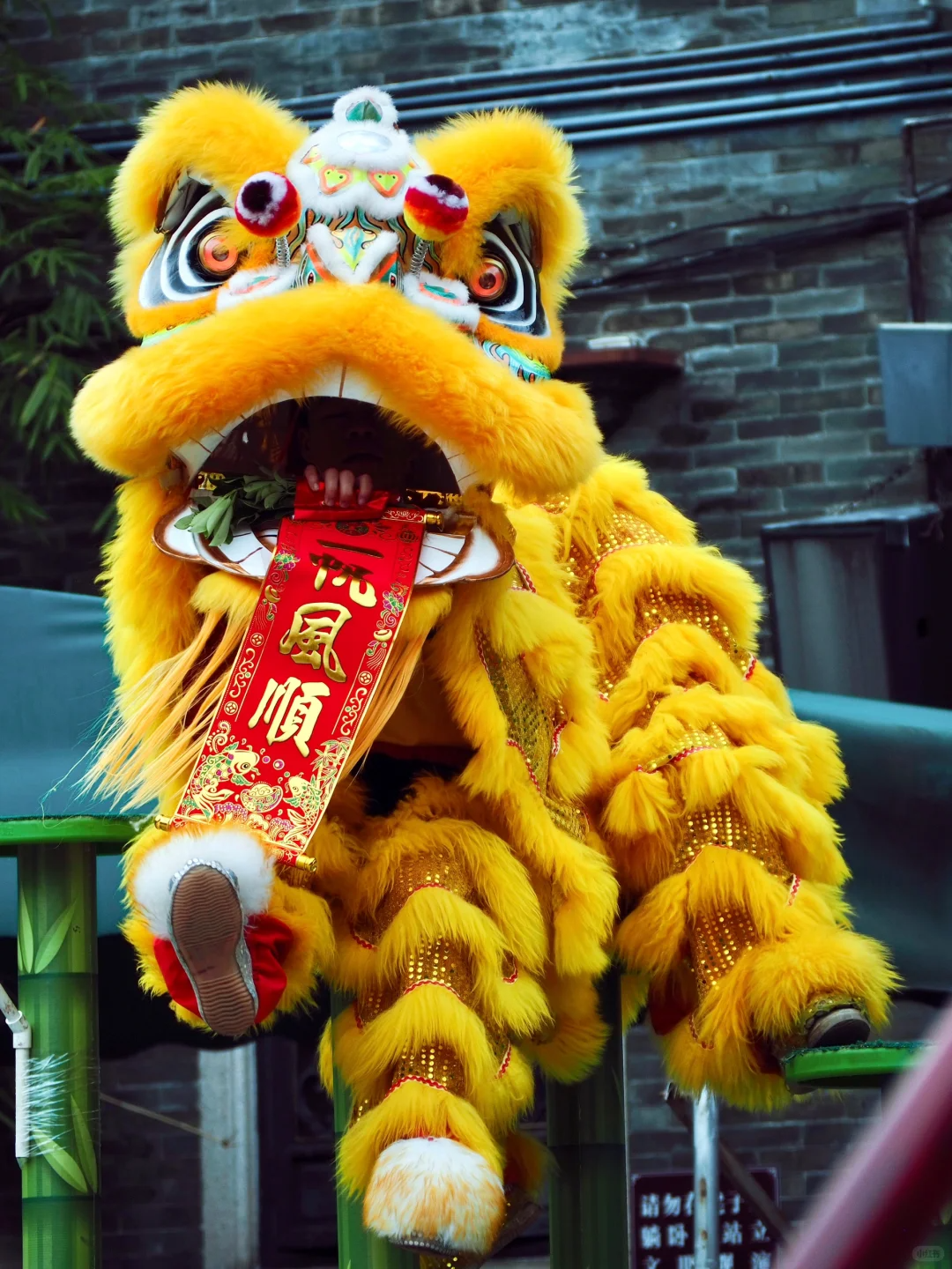 天后诞舞狮民俗